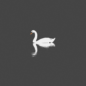 黑兽动漫完整版全集观看在线观看
