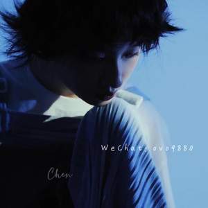 黑兽动漫完整版全集观看在线观看
